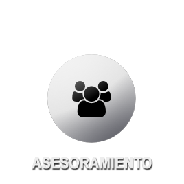 Asesoramiento profesional